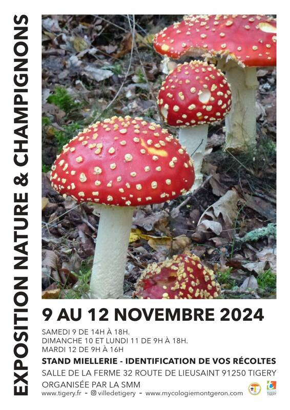 Exposition Nature et Champignons