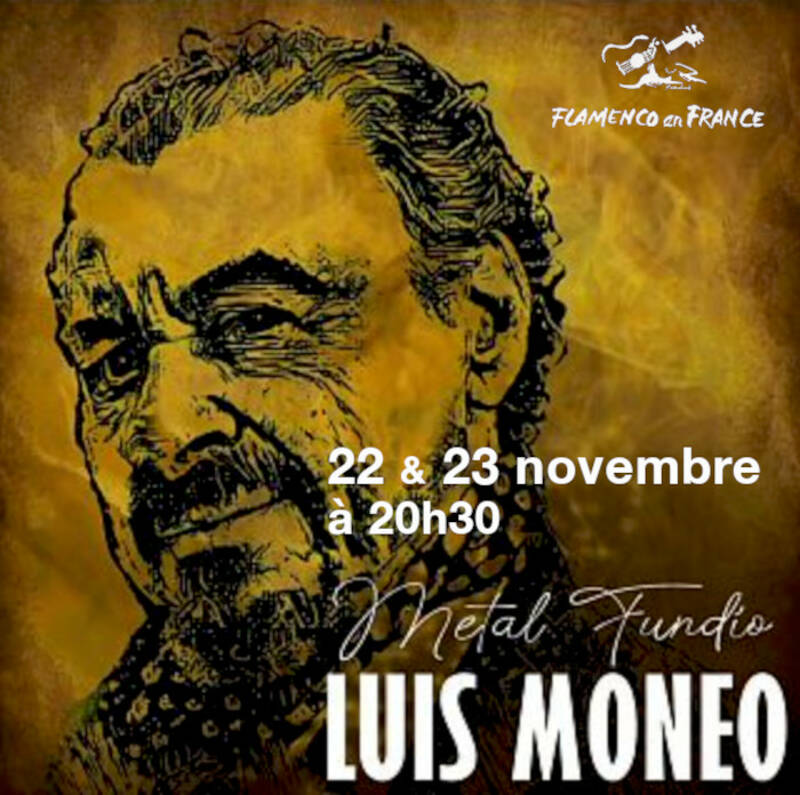 Récital de flamenco puro avec Luis Moneo