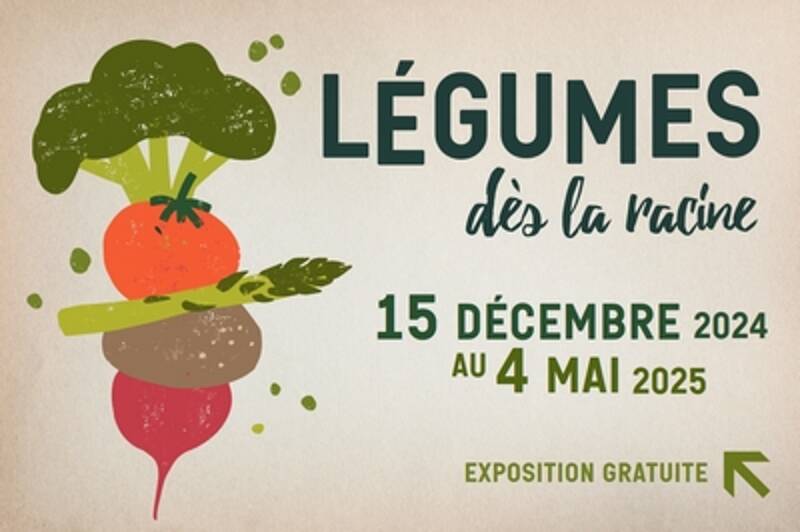 Légumes, dès la racine