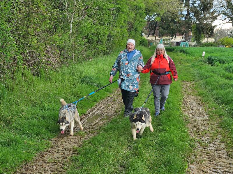 Balade canine active (cani-randonnée)