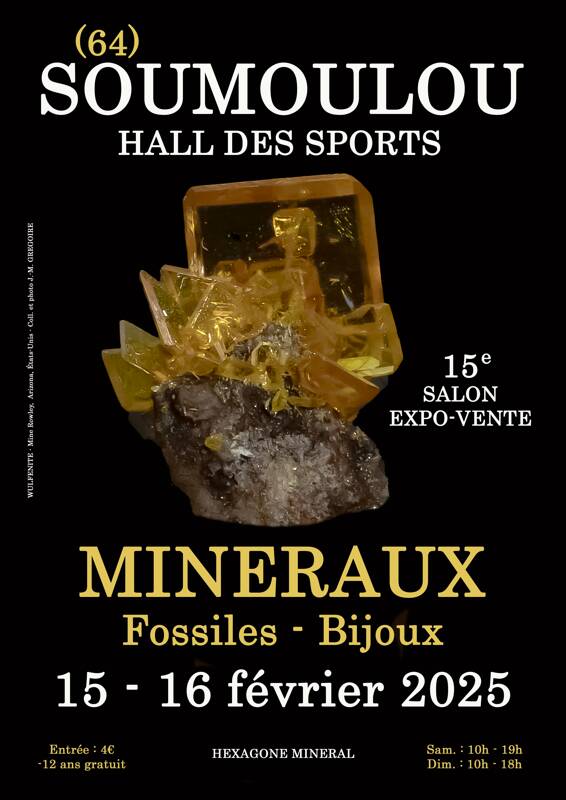 15e SALON MINERAUX FOSSILES BIJOUX de SOUMOULOU (Pyrénées-atlantiques)