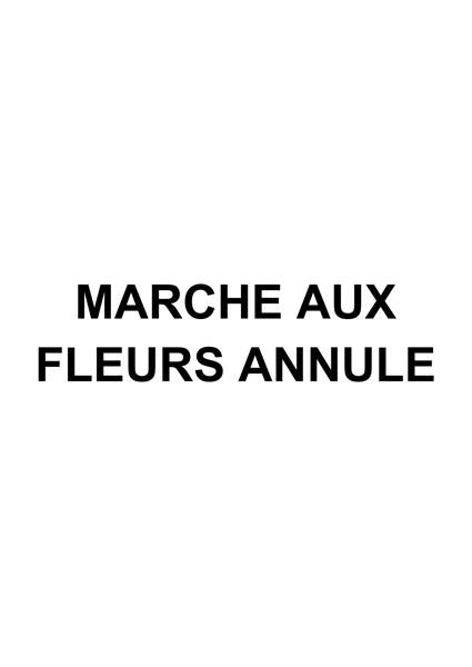 Marché aux fleurs