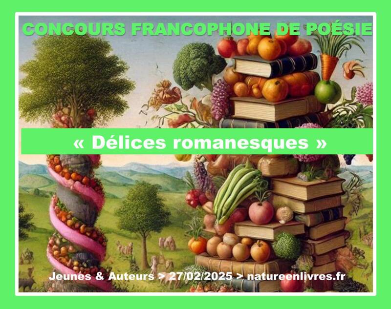 Concours de poésie > délices romanesques