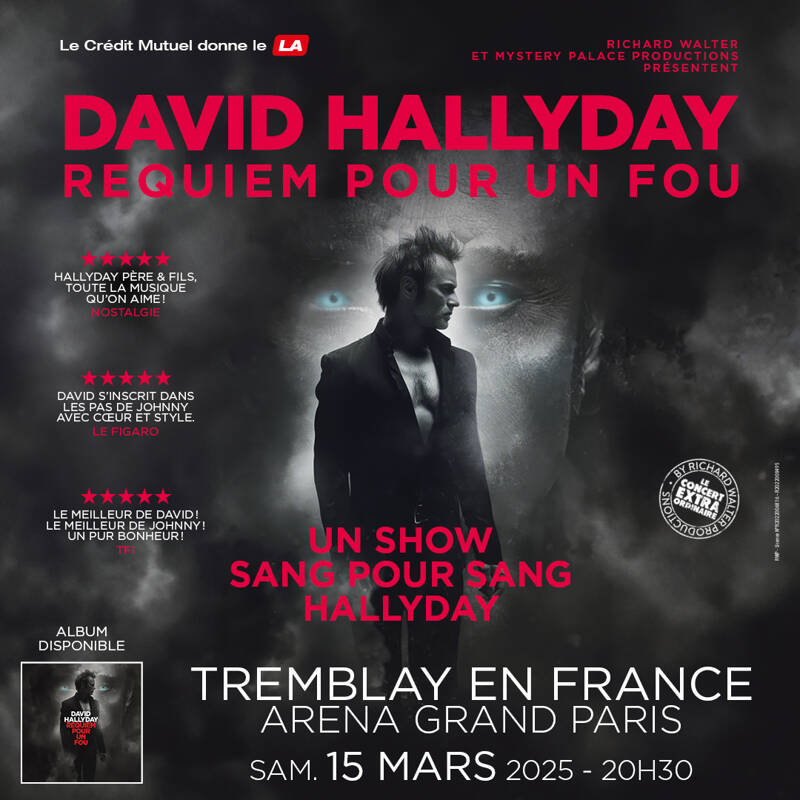 DAVID HALLYDAY  REQUIEM POUR UN FOU