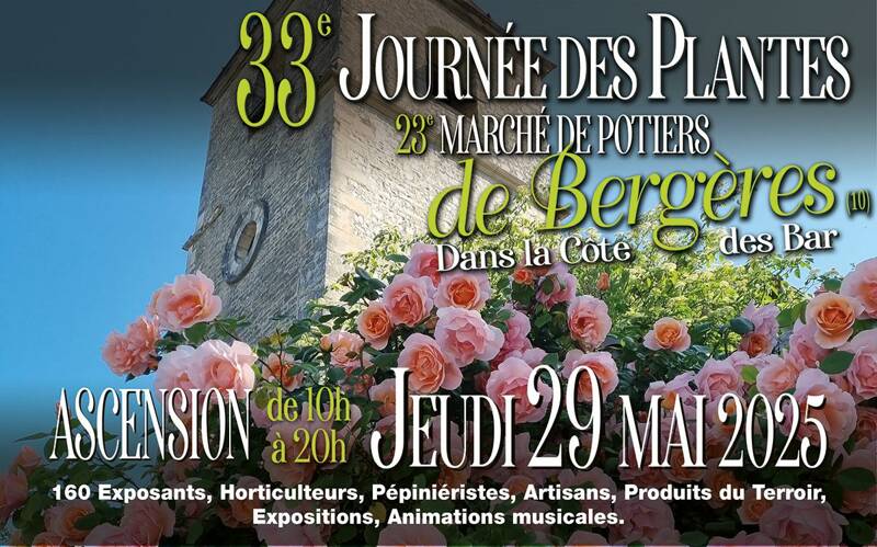 33ème Journée des plantes à Bergères (10)