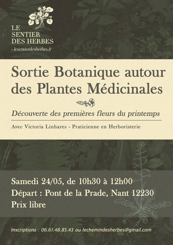 Sortie botanique autour des Plantes Médicinales