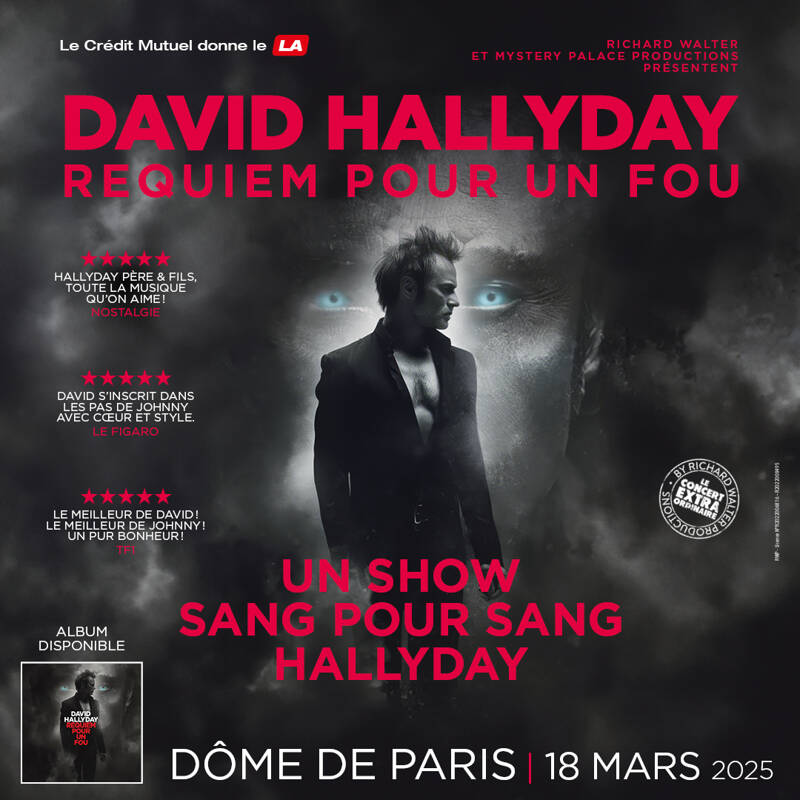 David Hallyday, Requiem pour un fou