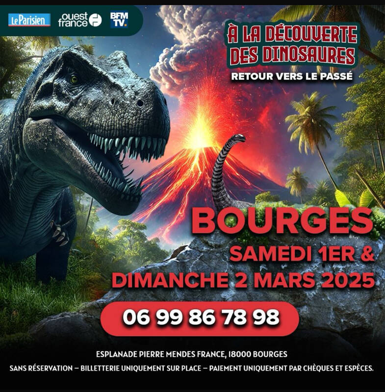 À la découverte des dinosaures