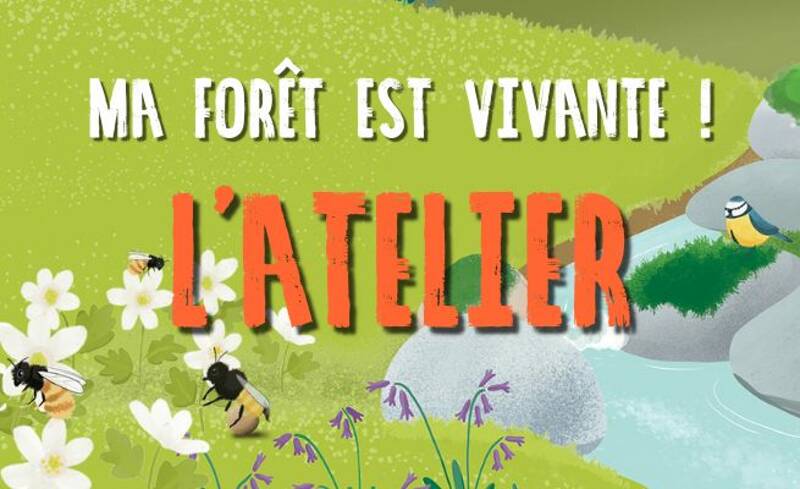 Atelier Ma Foret Est Vivante