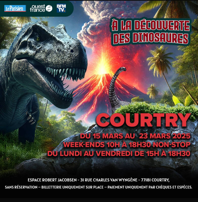 À la découverte des dinosaures