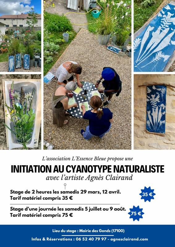 Initiation au cyanotype