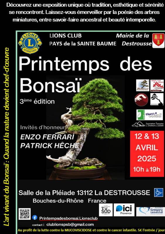 Exposition internationale Printemps des Bonsaï 2025