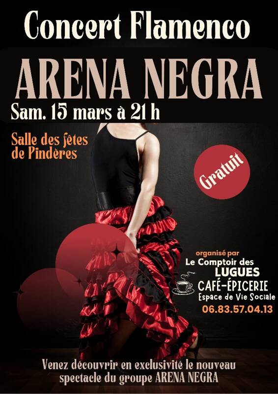 Concert Arena Negra