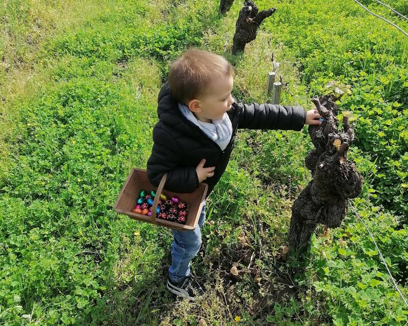 Pâques en vignes au Château haut-Claverie