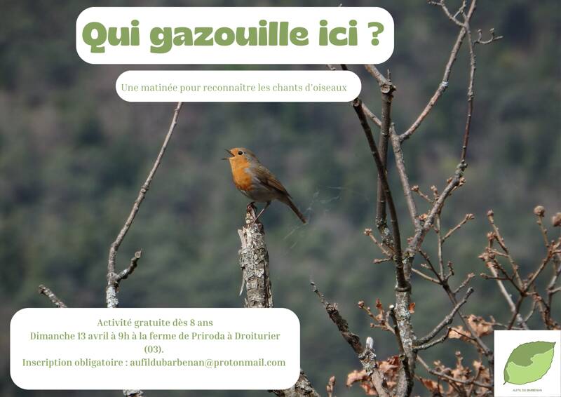 Qui gazouille ici