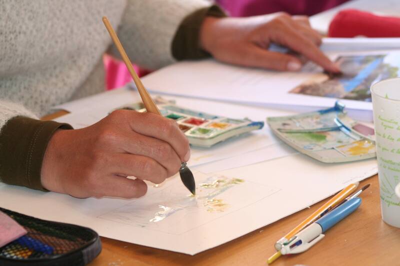 Formation : Aquarelle, à la découverte des algues