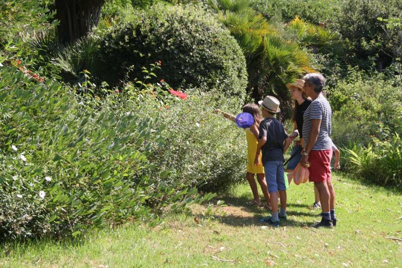 Activité famille : Les petites bêtes du Jardin