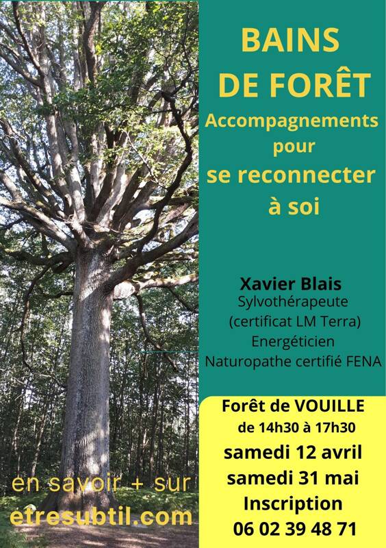 Bain de forêt