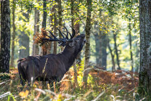 EXPOSITION PHOTO NATURE EN PLEIN AIR
