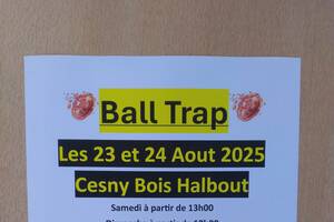 Ball Trap