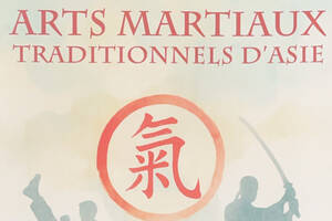 Salon des arts martiaux traditionnels d’Asie