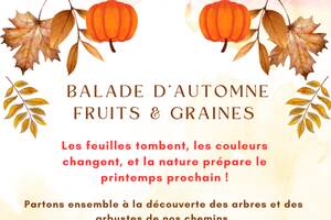 BALADE D'AUTOMNE : à la découverte des fruits et des graines