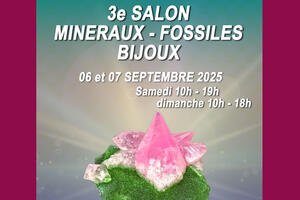 Salon minéraux, fossiles, bijoux de créateur.