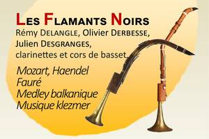 Les Flamants Noirs