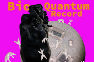 Exposition BioQuantum Record