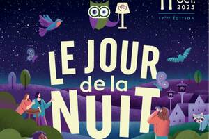 Balade nocturne insolite à la découverte des animaux et des étoiles