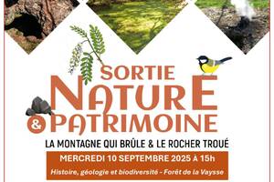 La montagne qui brûle et le rocher troué – sortie nature & patrimoine dans la forêt de la Vaysse