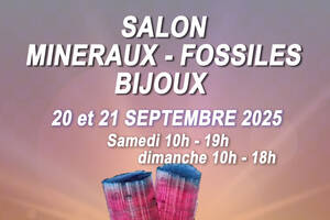Salon minéraux, fossiles, bijoux de créateur.