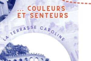 Balade entre Patyrimoine , couleurs et senteurs