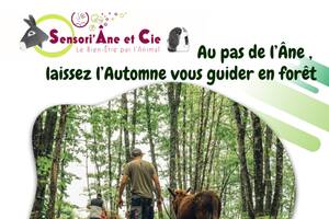 Balade d'Automne au pas de l'Âne