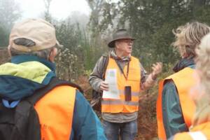 Balade-conférence en forêt