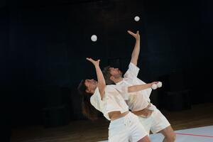 Premier regard sur Animal géométrique