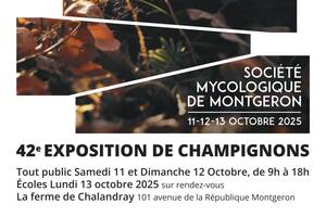 Exposition de Champignons