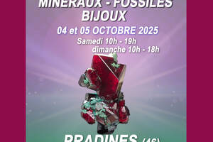 Salon minéraux, fossiles, bijoux de créateur.