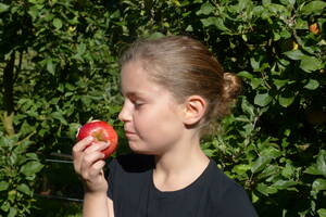 Tarn : 15ème édition des Vergers Ouverts