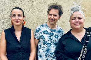 photo D'Jazz Nevers Festival - concert : Bernado / Delaunay / Chevallier  D'Autres Sons