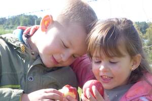 Gers : 15ème édition des Vergers Ouverts