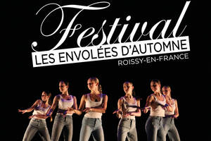 photo Festival Les Envolées D’Automne