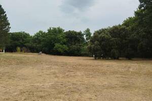 vide grenier permanent en pleine nature