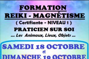 Formation Magnétisme REIKI Degré 1