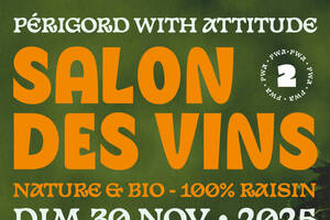 Salin des vins natures et bio - PWA #2