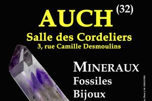 5e SALON MINERAUX FOSSILES BIJOUX