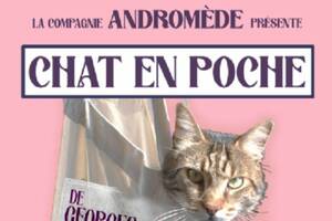 Chat en poche de Georges Feydeau