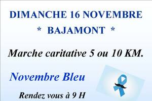 photo NOVEMBRE BLEU  - marche caritative