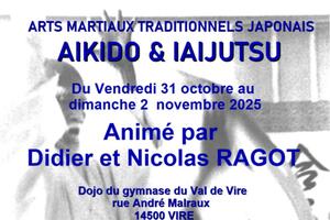Stage Arts martiaux traditionnels japonais - Aïkido et Iaïjutsu