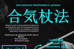 STAGE ARTS MARTIAUX TRADITIONNELS JAPONAIS - AIKI JOHO
